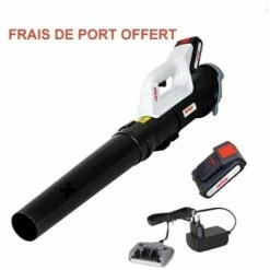 IKRA Souffleur De Feuille à Batterie 20 Volts 2 Amp ICB20
