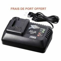 Chargeur De Batterie FERREX IKRA 20-40 VOLTS